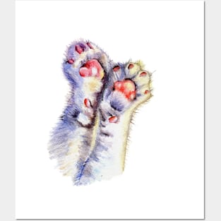 Cat paws Posters and Art